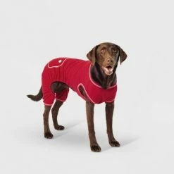 Outlet 🥰 Dog and Cat Union Suit Pajama - Red - Wondershop™ 👏 -Wondershop Elegant Shop unnamed file 1221