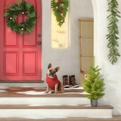 Outlet ✔️ Green Goods Collection - Wondershop™ 😉