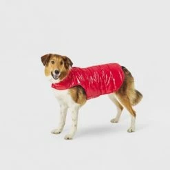 Best Sale 🤩 Dog and Cat Puffer - Red - Wondershop™ 🌟 -Wondershop Elegant Shop unnamed file 881
